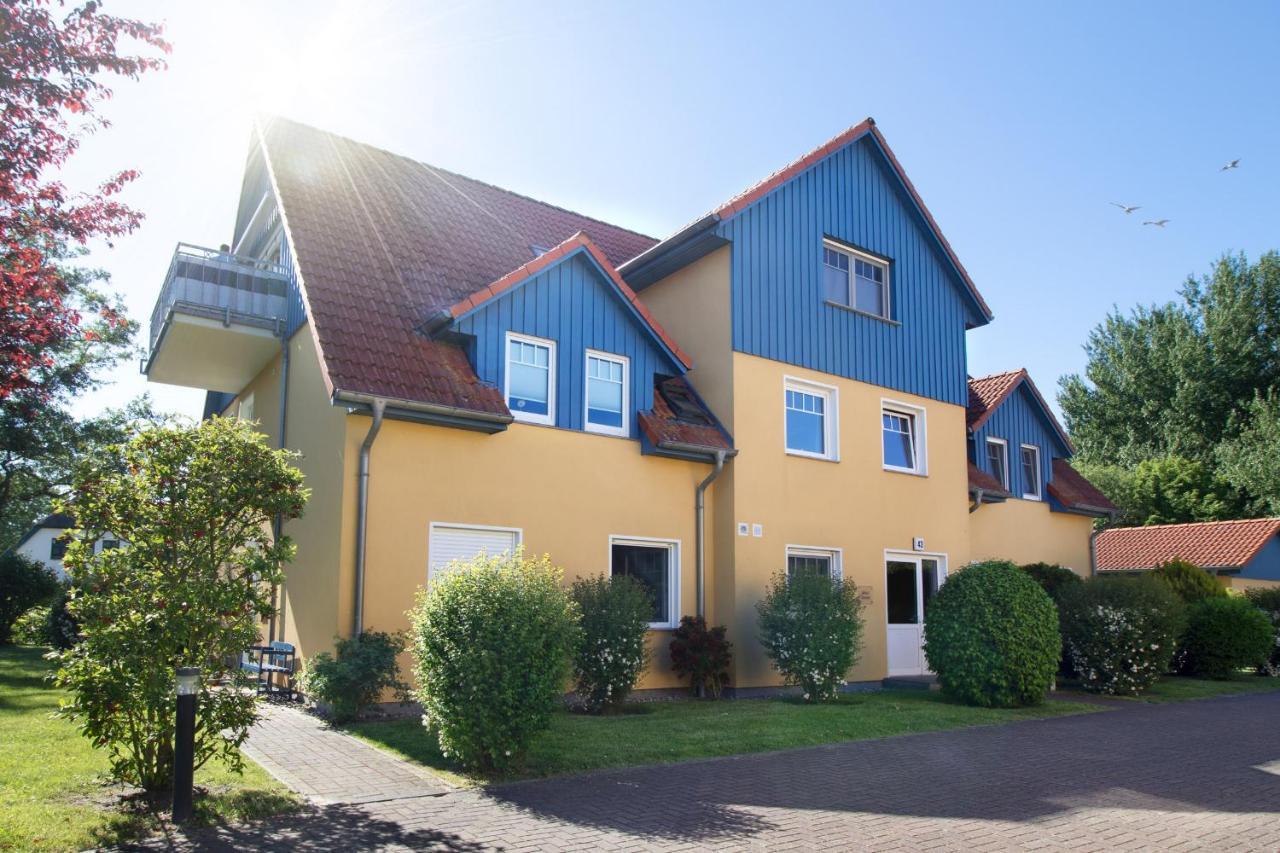 Appartement Friedenstrasse 43 Whg Mara à Zingst Extérieur photo